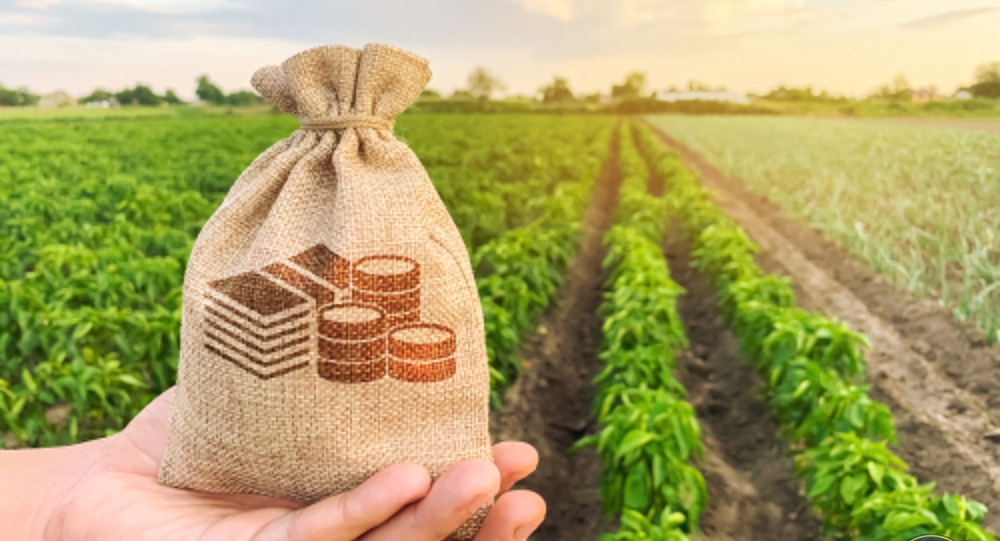 Basic Course in Agribusiness