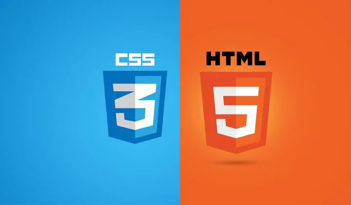 Web Development Basics (HTML, CSS)