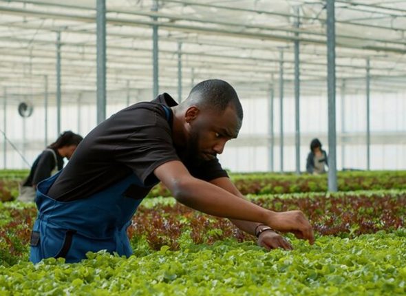 Agribusiness-Entrepreneurship