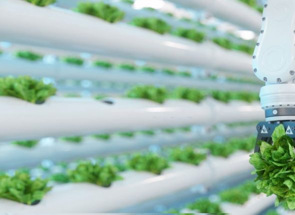 Certificate-in-Agricultural-Technology-and-Innovation