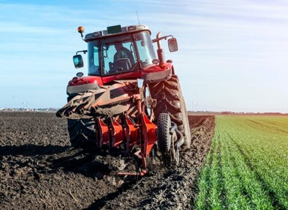 Commercial-Farming