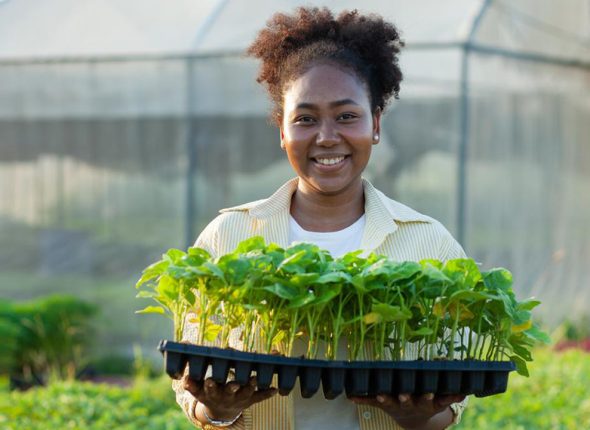 Agribusiness-Entrepreneurship