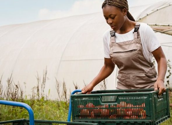 Agricultural-Marketing