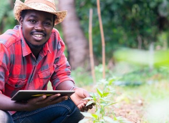 Certificate-In-Agricultural-Finance