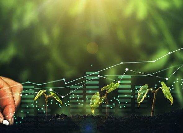 Certificate-in-Agricultural-Economics