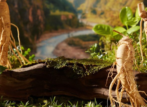 Certificate-in-Herbal-Enterprise-Management
