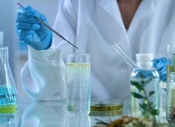 Certificate-in-Medicinal-Plants-Production