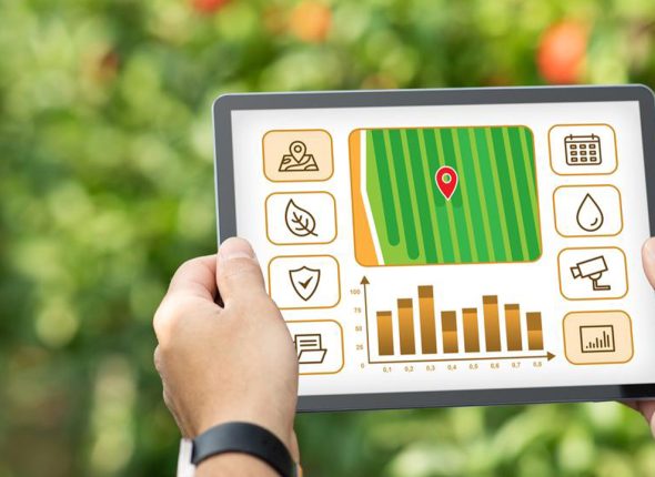 Diploma-in-Agriculture-and-Farm-Management