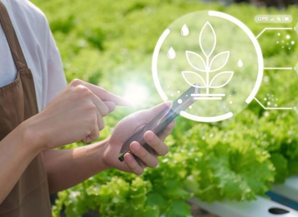 Diploma-in-Applied-Farm-Management