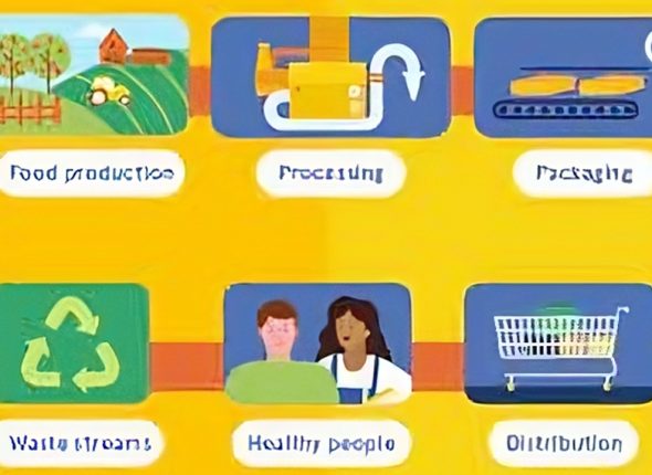 Food-Chain-Management