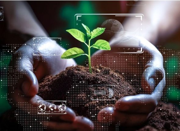 International-Agribusiness