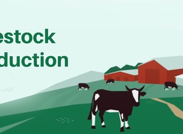 Livestock-Production